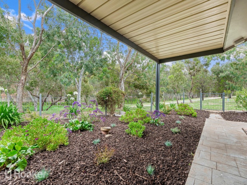13 Fayden Drive, Paradise SA 5075