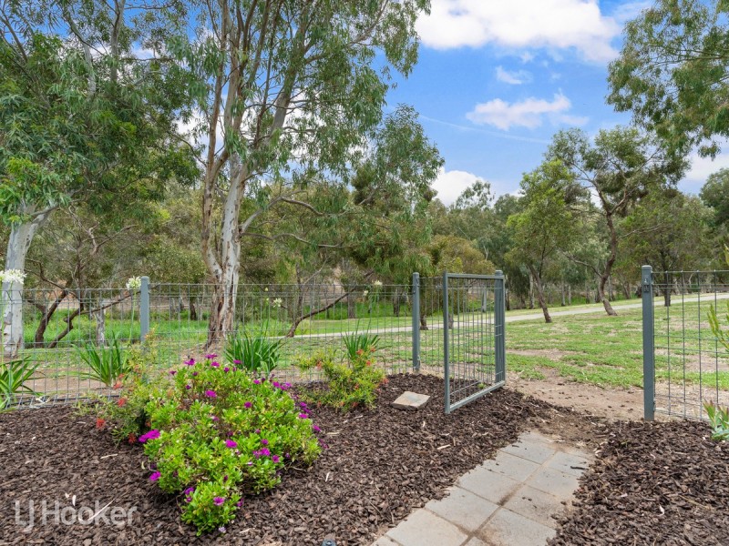 13 Fayden Drive, Paradise SA 5075
