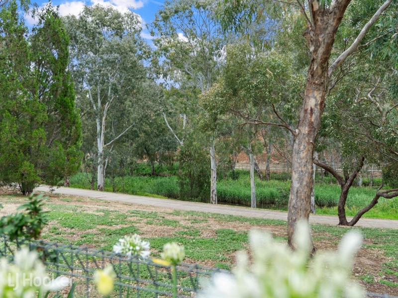 13 Fayden Drive, Paradise SA 5075