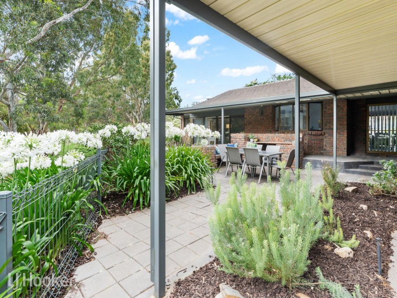 13 Fayden Drive, Paradise SA 5075