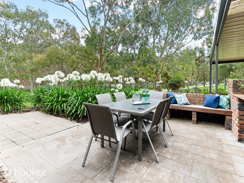 13 Fayden Drive, Paradise SA 5075