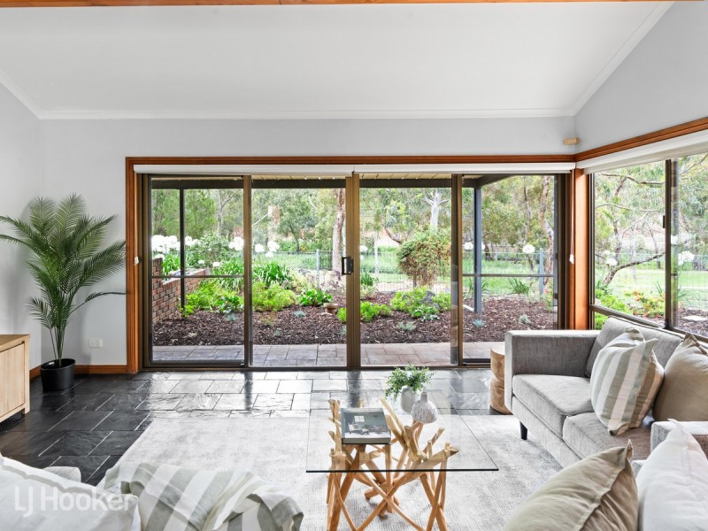 13 Fayden Drive, Paradise SA 5075