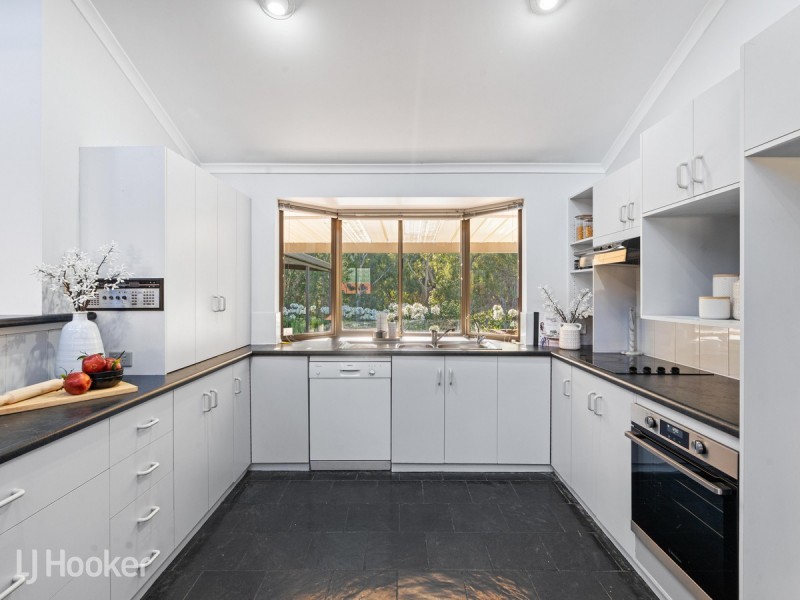 13 Fayden Drive, Paradise SA 5075