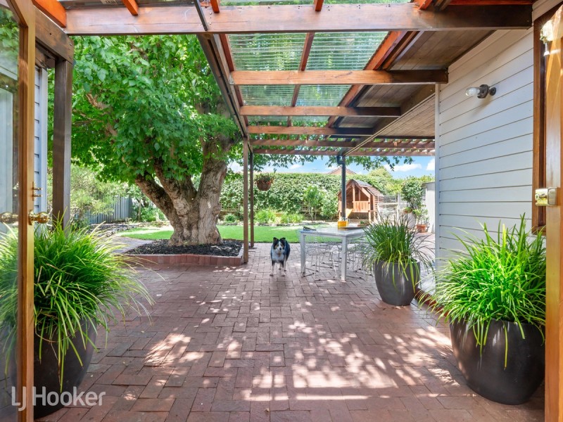 50 Ashbrook Avenue, Payneham SA 5070