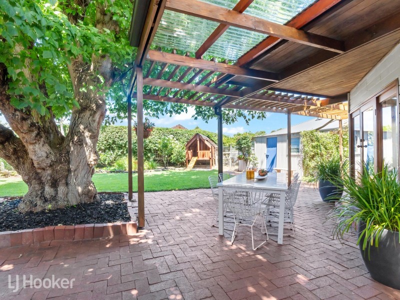 50 Ashbrook Avenue, Payneham SA 5070