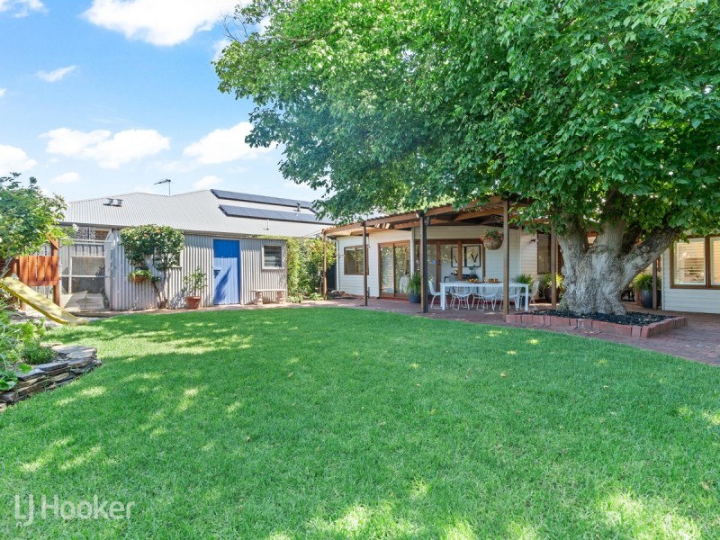 50 Ashbrook Avenue, Payneham SA 5070