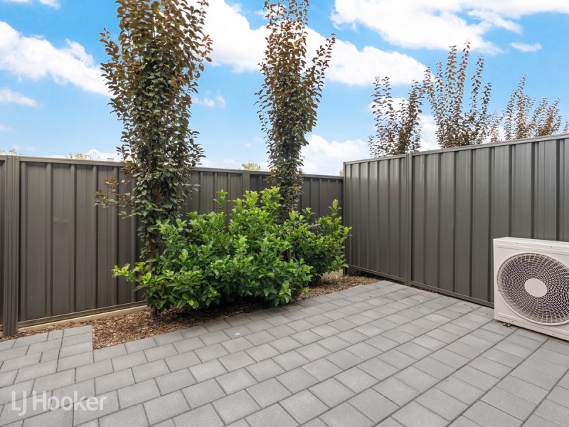 23 Barry Drive, Findon SA 5023