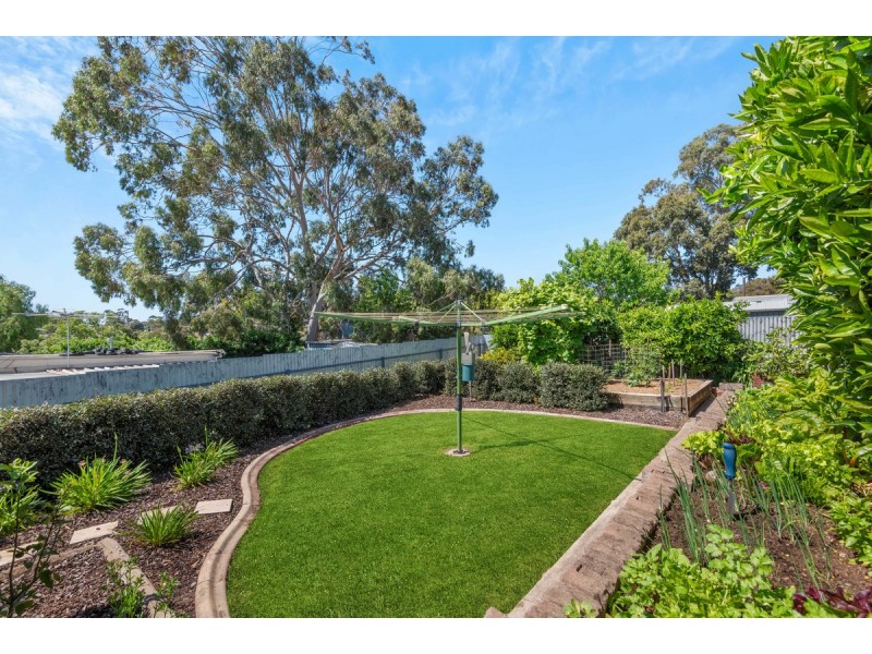 12 Bela Street, Hope Valley SA 5090