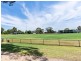 13 Bricknell Street, Magill SA 5072
