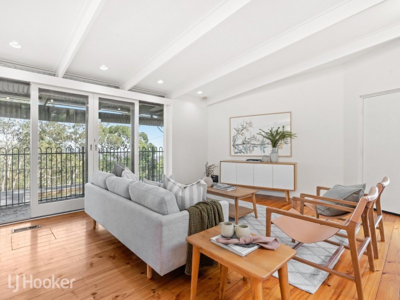 14 Teringie Drive, Teringie SA 5072