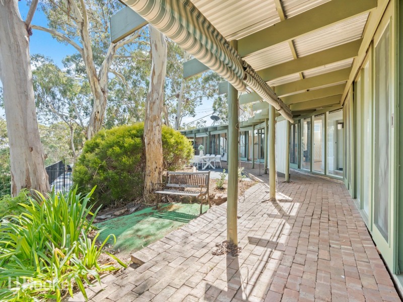 14 Teringie Drive, Teringie SA 5072