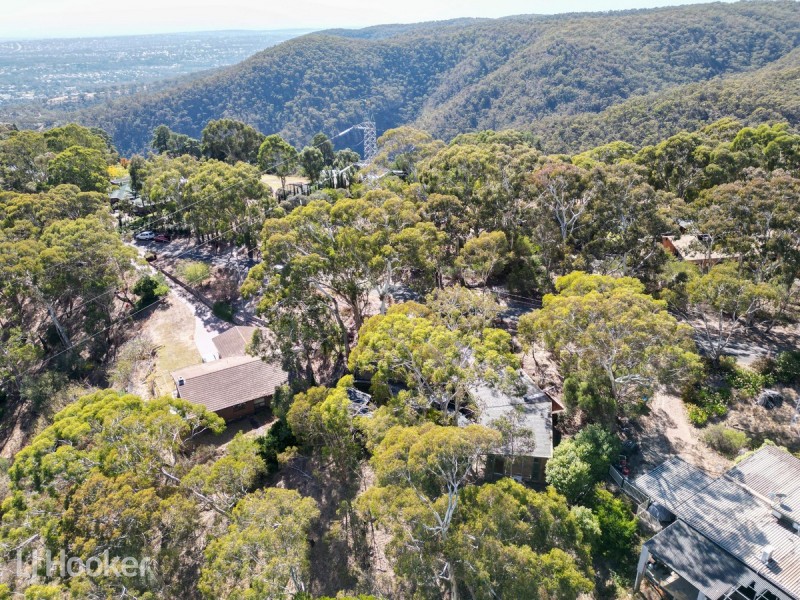 14 Teringie Drive, Teringie SA 5072