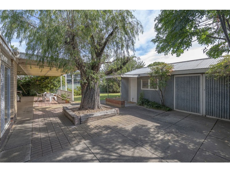 12 Hooking Avenue, Royston Park SA 5070