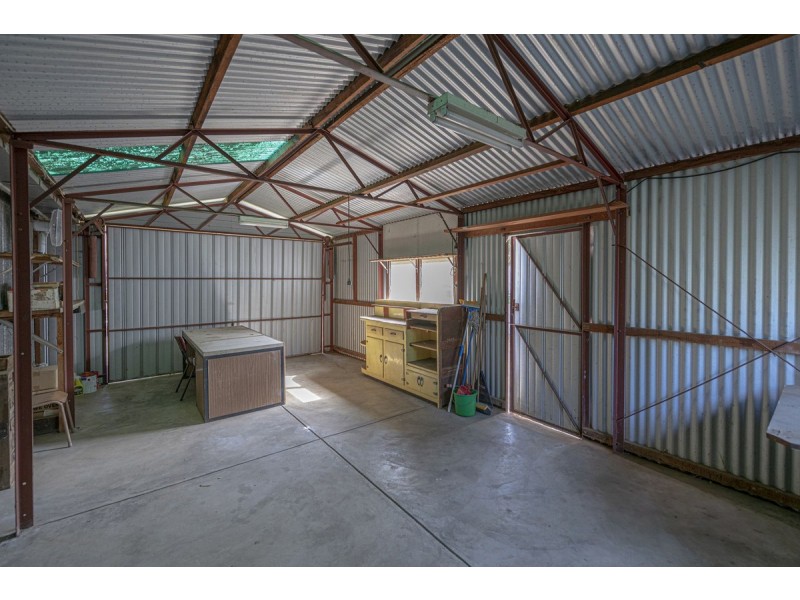 12 Hooking Avenue, Royston Park SA 5070