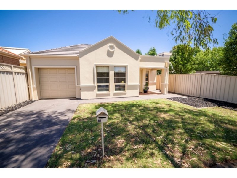 61 Ashbrook Avenue, Payneham SA 5070