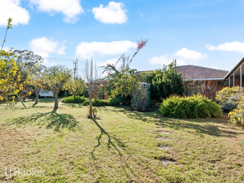 16 Karri Drive, Dernancourt SA 5075