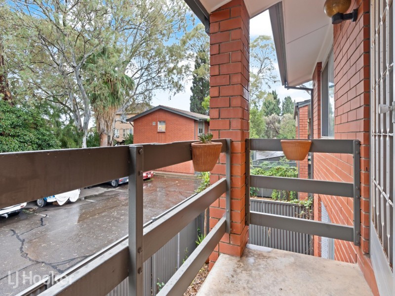 31/62 William Street, Norwood SA 5067