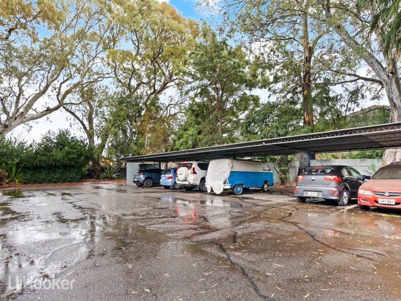 31/62 William Street, Norwood SA 5067