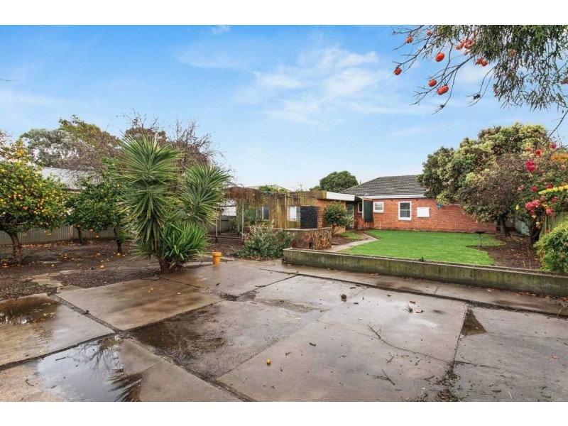 97 Marian Road, Firle SA 5070