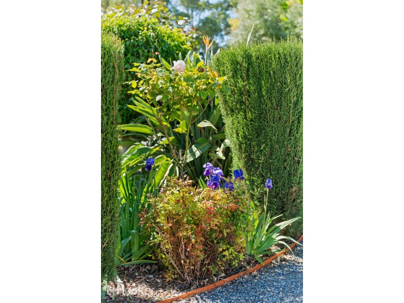 23 Glengyle Avenue, Modbury SA 5092