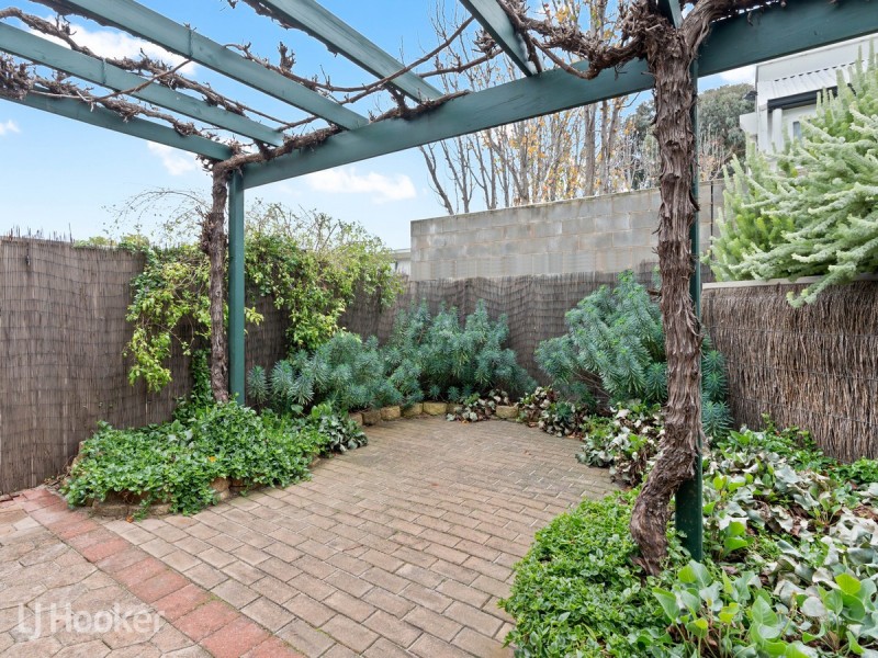 3/119 Ashbrook Avenue, Trinity Gardens SA 5068
