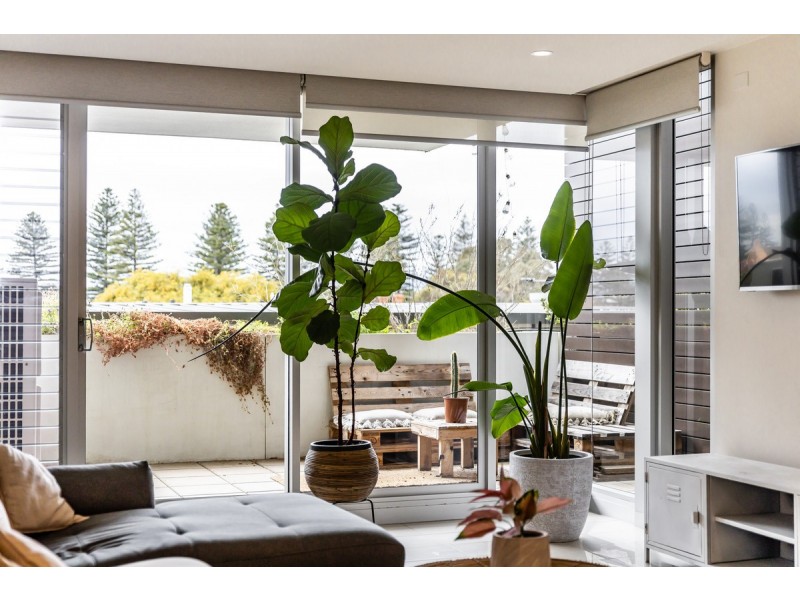 119/356 Seaview Road, Henley Beach SA 5022