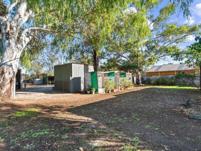 14 Alabar Crescent, Globe Derby Park SA 5110