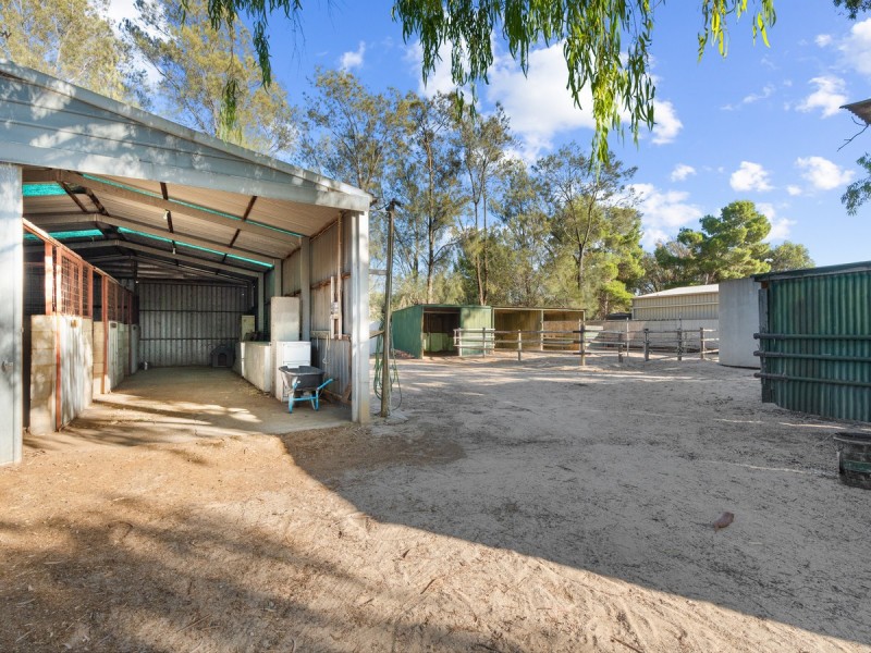 14 Alabar Crescent, Globe Derby Park SA 5110