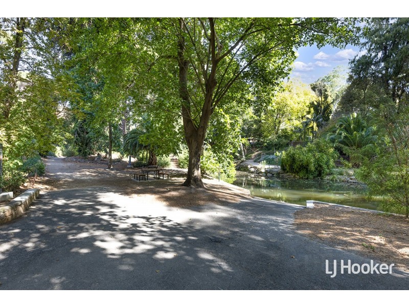 14 Kurrajong Avenue, Stonyfell SA 5066