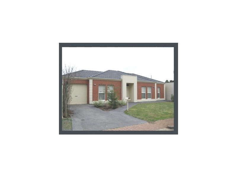 8 Pam Street, Paradise SA 5075