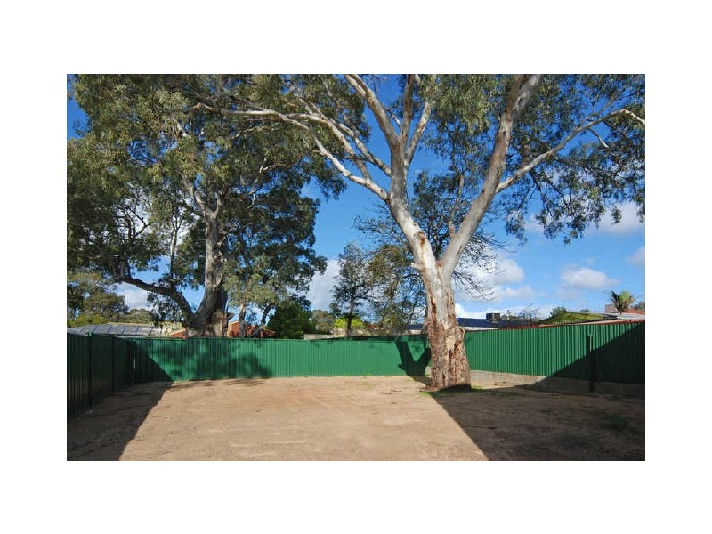 41 Milton Street, Tea Tree Gully SA 5091