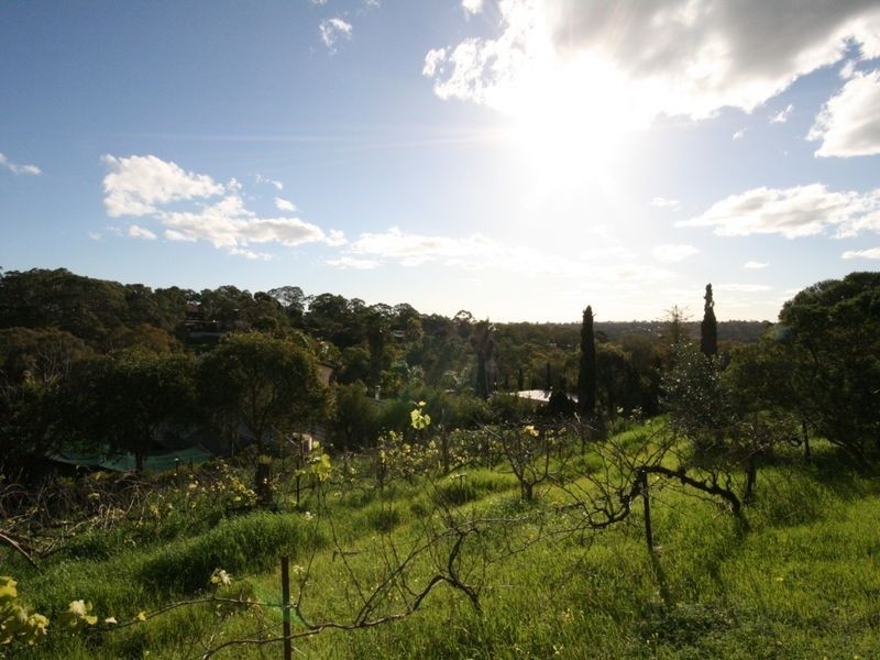 30 Clement Road, Athelstone SA 5076