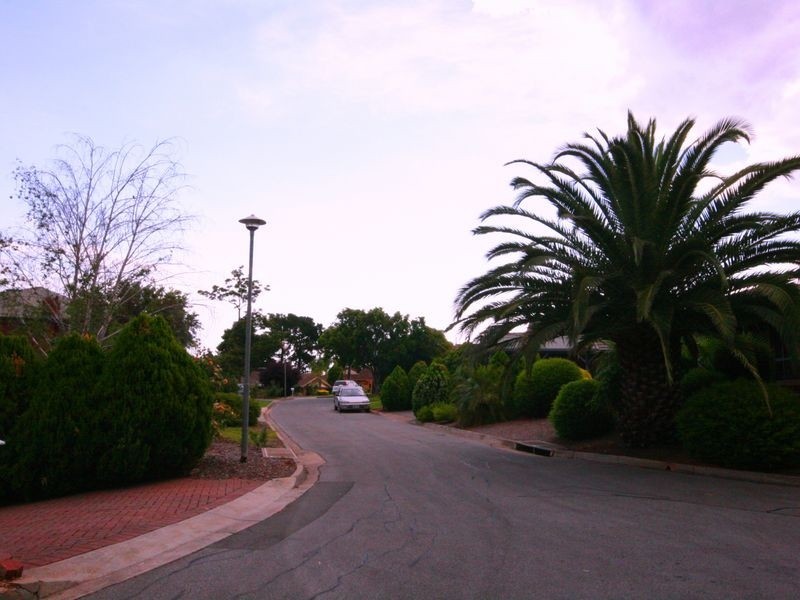 17 Heathfield Avenue, Dernancourt SA 5075