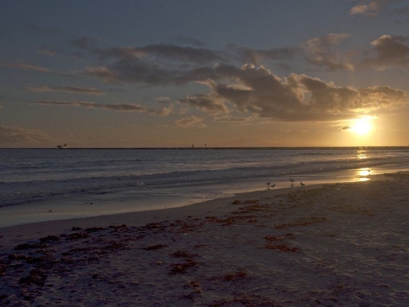 12 The Walkway, North Haven SA 5018