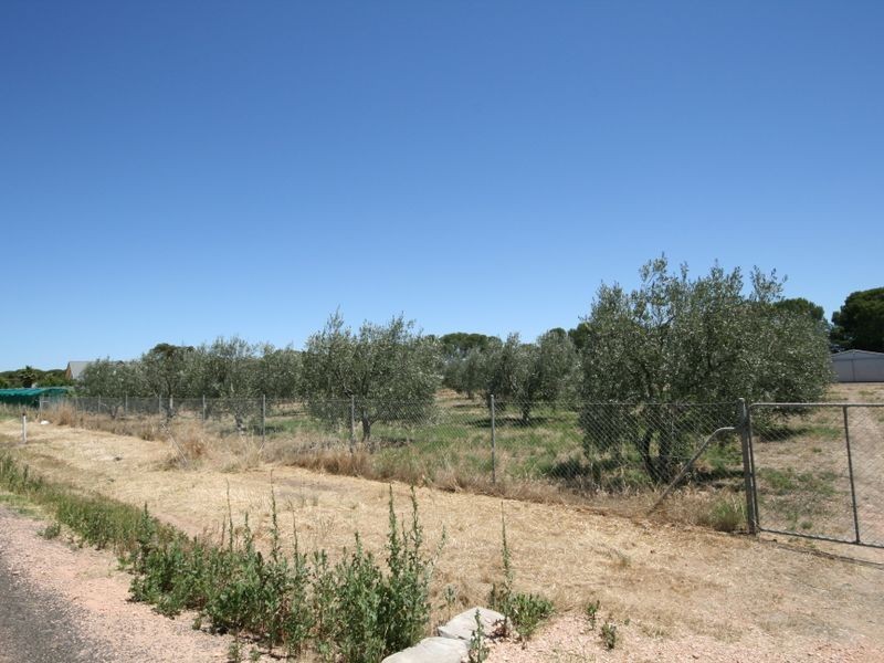 57/ Artesian Road, Two Wells SA 5501