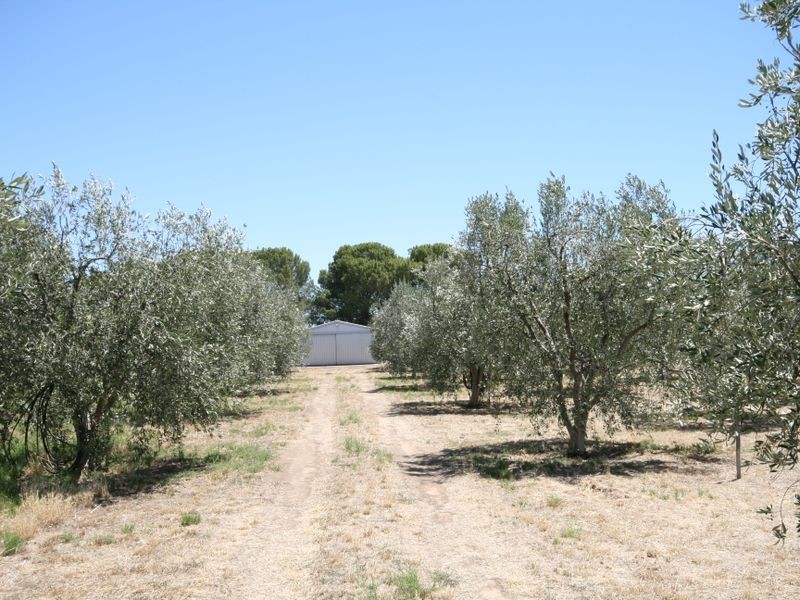 57/ Artesian Road, Two Wells SA 5501