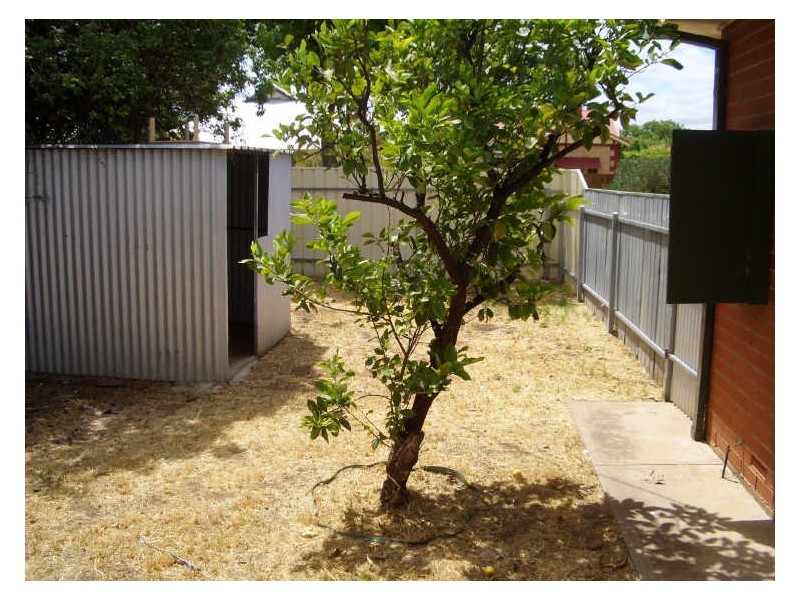 25A Stephens Avenue, Torrensville SA 5031