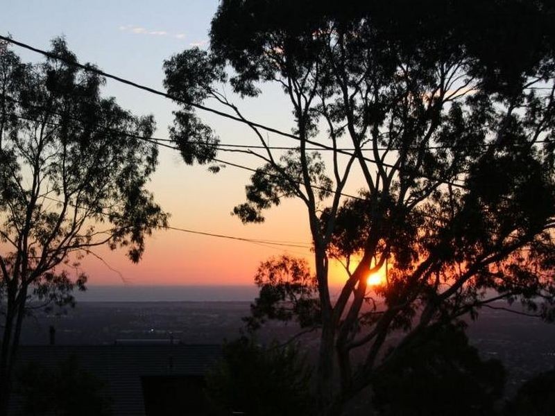 43 Ridgeland Drive, Teringie SA 5072