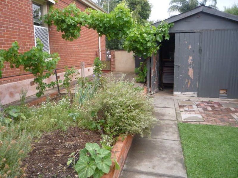 26 Olive Street, Parkside SA 5063