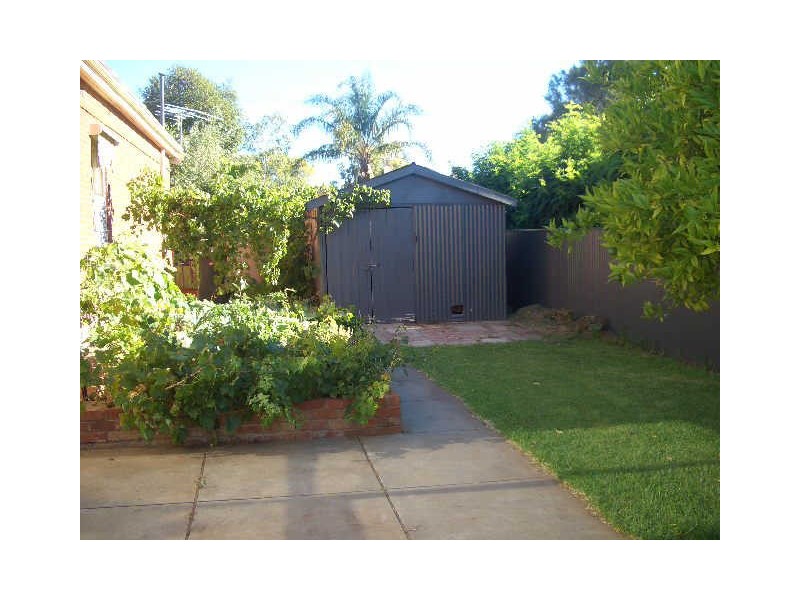 26 Olive Street, Parkside SA 5063