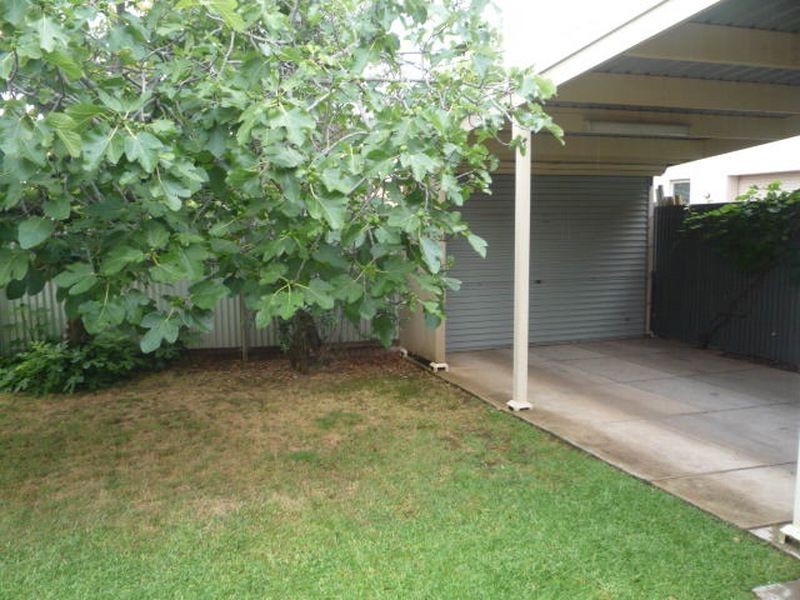 26 Olive Street, Parkside SA 5063