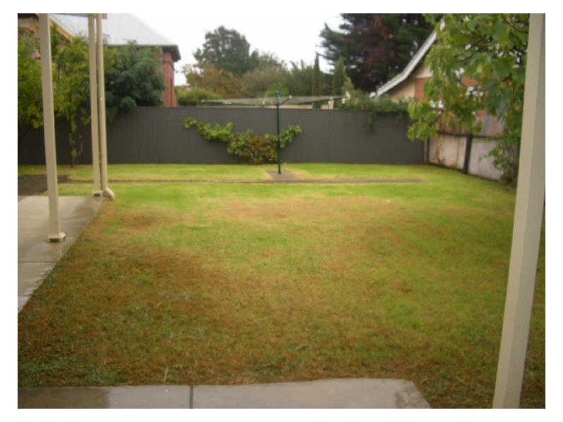 26 Olive Street, Parkside SA 5063