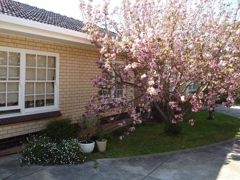 2/7 Gilding Avenue, Royston Park SA 5070