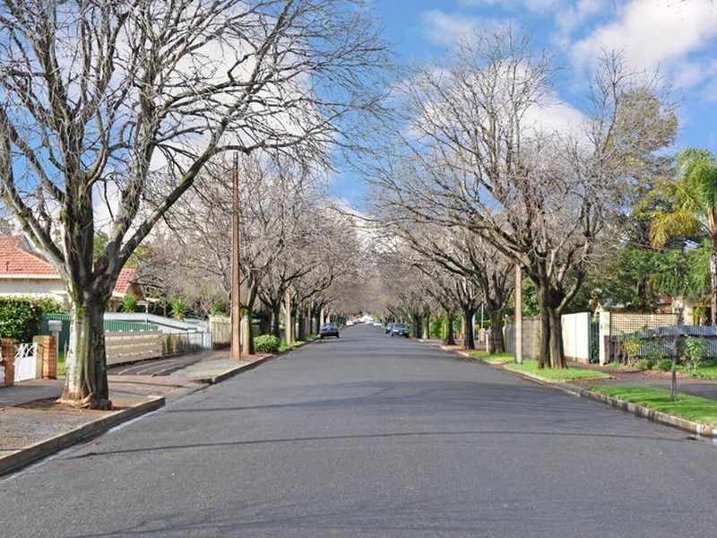 76 Ayers Avenue, Daw Park SA 5041