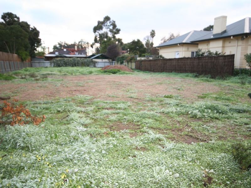 91 Hewitt Avenue, Toorak Gardens SA 5065