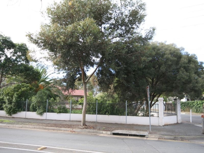 1 Kapunda Terrace, Payneham SA 5070