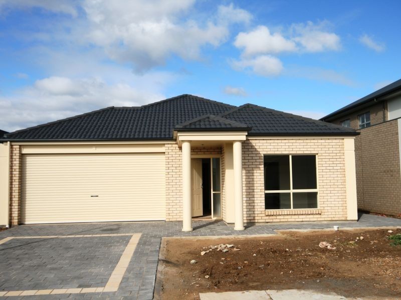 31 Macmillan Avenue, Mawson Lakes SA 5095