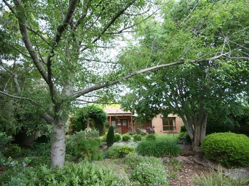 9 Zariba Court, Surrey Downs SA 5126