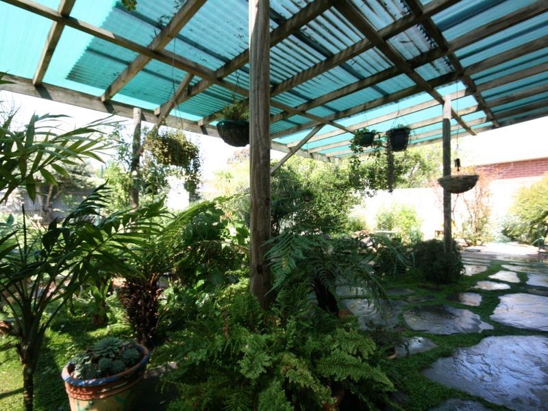 12 Breaker Street, St Morris SA 5068