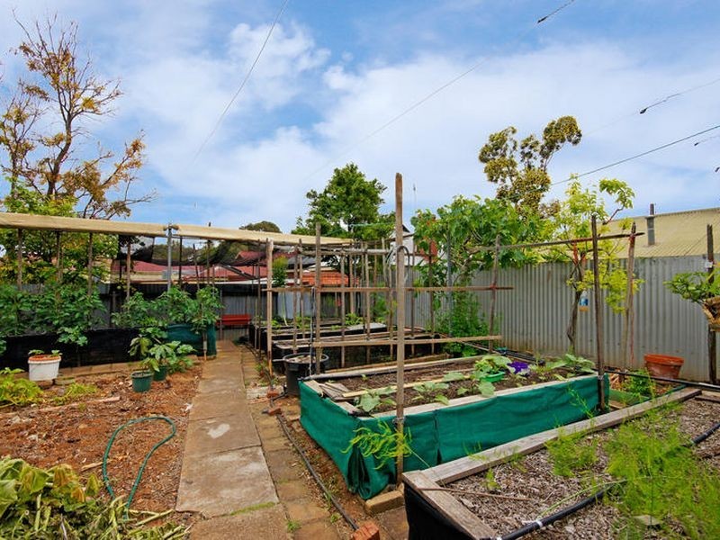 68 Frederick Street, Maylands SA 5069